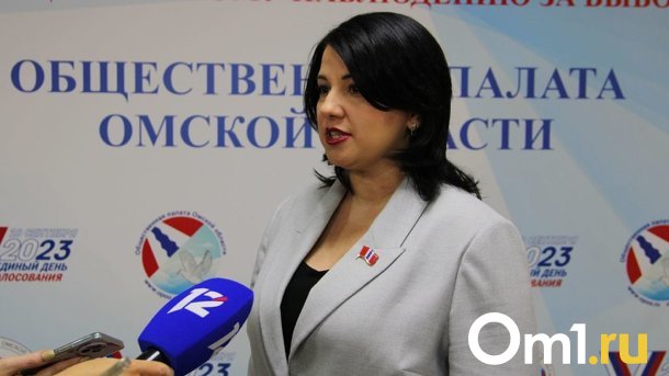 Осталось несколько часов до окончания выборов