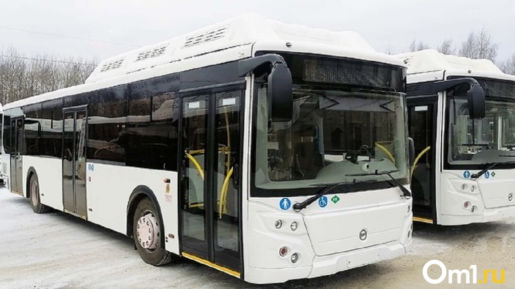 Скоро в Омск прибудут более 20 новых автобусов