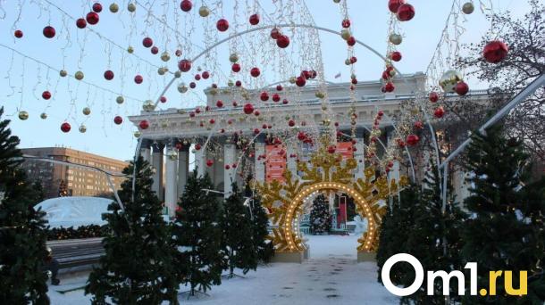 Две тысячи новогодних ёлок привезли в Новосибирск