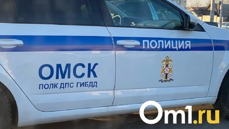 Смертельная авария произошла на трассе под Омском. ФОТО