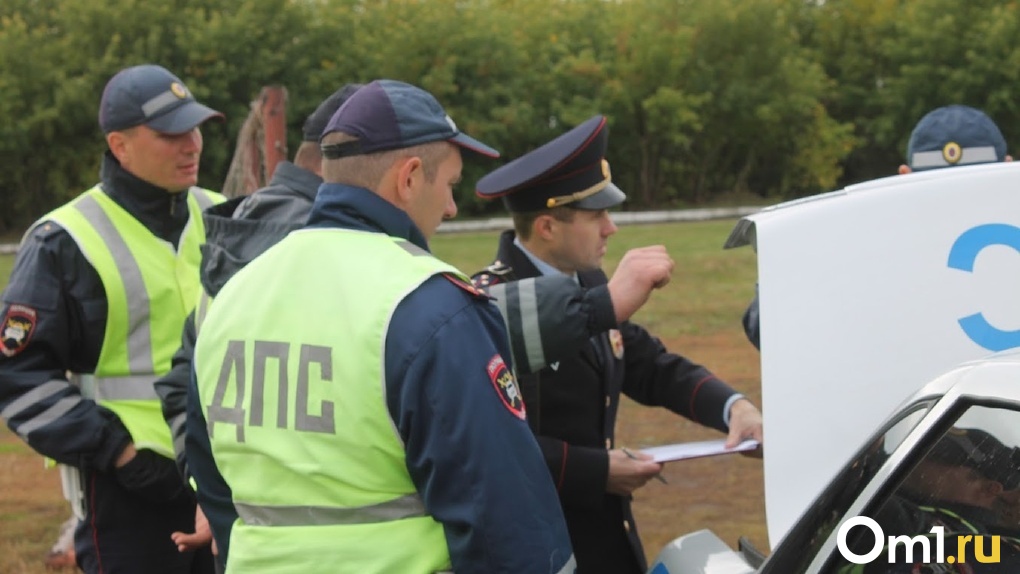 В Омской области полицейские открыли стрельбу, чтобы остановить пьяного водителя