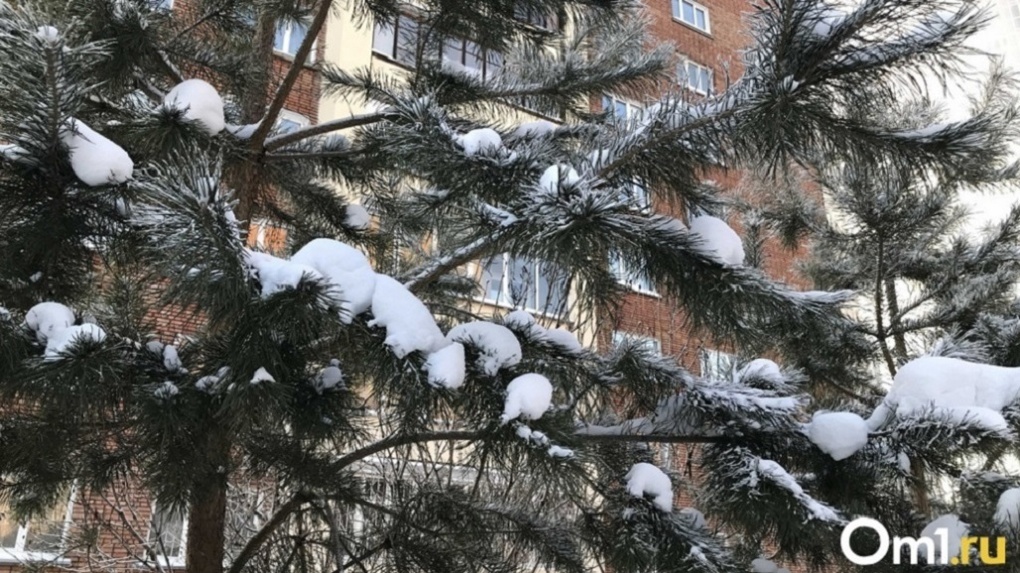 Морозы с севера Якутии придут в Новосибирск в феврале