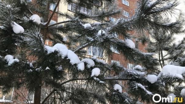Морозы с севера Якутии придут в Новосибирск в феврале