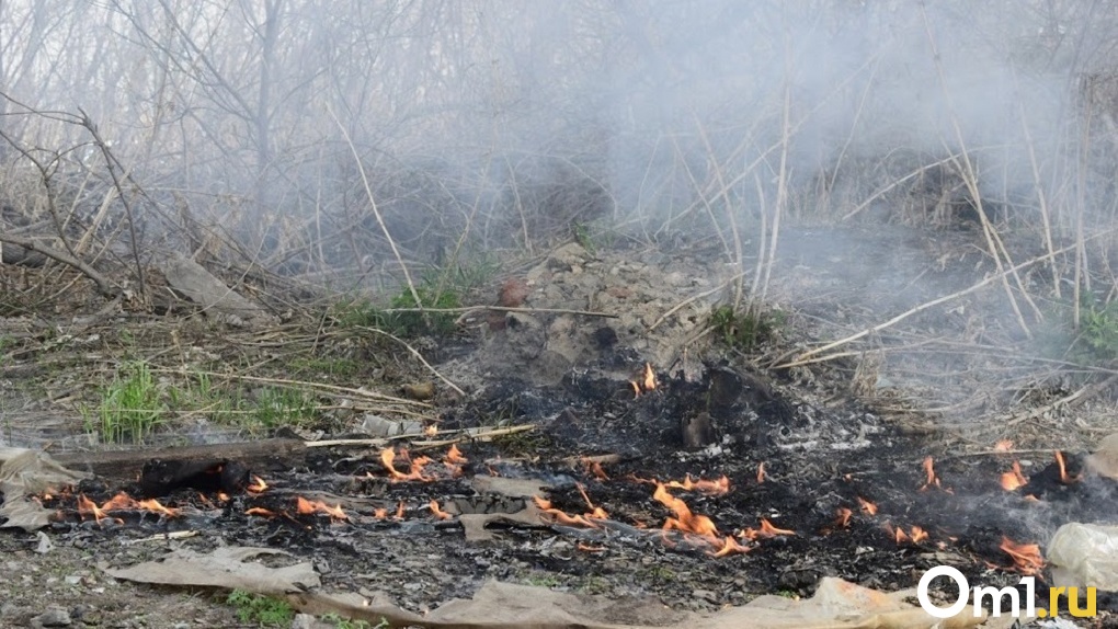 Два жителя Омской области поджигали сухую траву и чуть не сожгли деревню