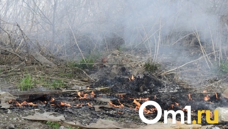 Два жителя Омской области поджигали сухую траву и чуть не сожгли деревню