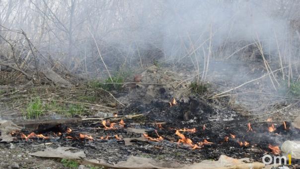 Два жителя Омской области поджигали сухую траву и чуть не сожгли деревню