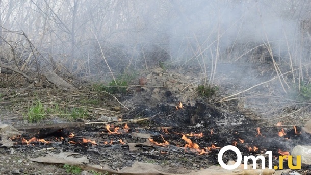 Два жителя Омской области поджигали сухую траву и чуть не сожгли деревню
