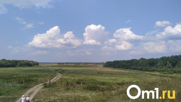 Жителю Омской области грозит уголовное дело за кражу двух тюков соломы