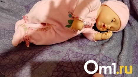 В ярости бросила младенца на диван? Жительницу Новосибирска обвиняют в убийстве 6-месячного ребёнка. ФОТО