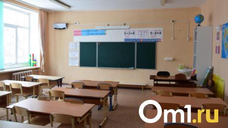ОРВИ отступает: количество закрытых на карантин классов в омских школах сократилось