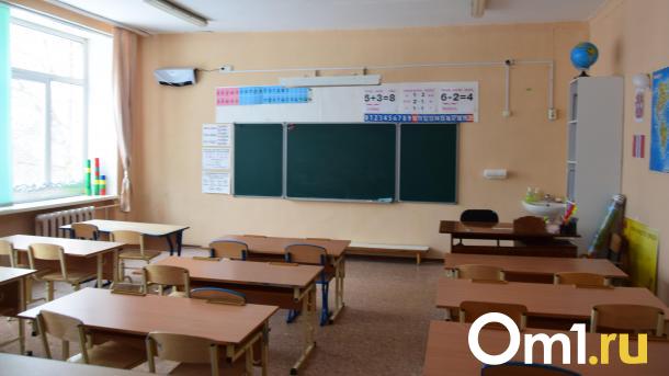 ОРВИ отступает: количество закрытых на карантин классов в омских школах сократилось