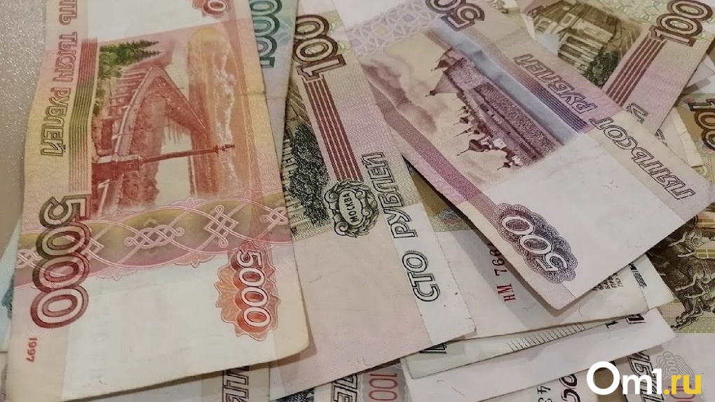 По 21 тысяче рублей на каждого омского школьника. Для российских родителей хотят ввести новые выплаты