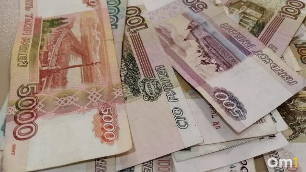 По 21 тысяче рублей на каждого омского школьника. Для российских родителей хотят ввести новые выплаты