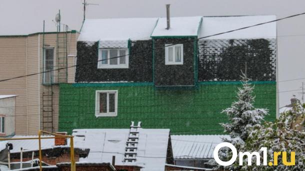 Опустевшие дома в Новосибирске стали добычей мародёров
