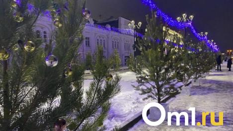 В новогодние каникулы омичей ждёт резкое потепление до +1