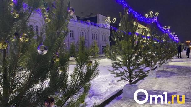 В новогодние каникулы омичей ждёт резкое потепление до +1