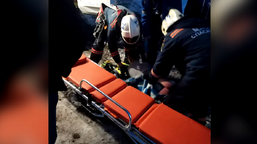 В Новосибирске полураздетого мужчину госпитализировали после падения с дерева