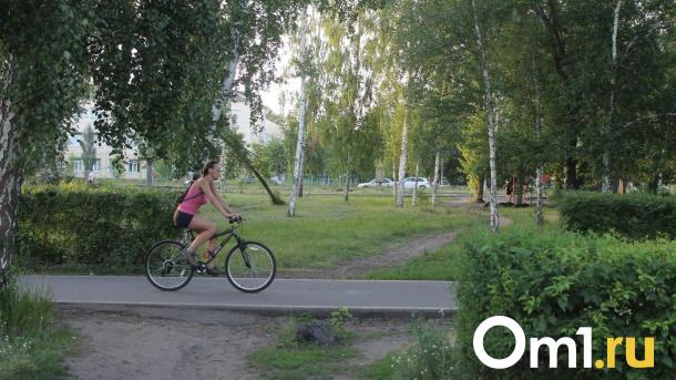 Шесть веломаршрутов Новосибирска: где покататься на майские праздники