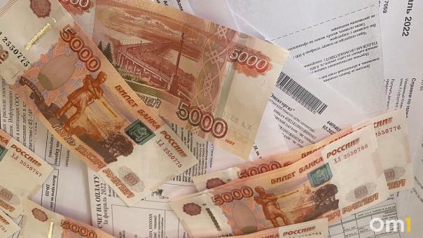 Омские налоговики вскрыли мошеннические схемы бизнесменов, маскировавших сотрудников под самозанятых