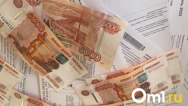 Омские налоговики вскрыли мошеннические схемы бизнесменов, маскировавших сотрудников под самозанятых