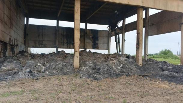 Решил проверить зажигалку: 7-летний омич поджёг 400 тюков сена