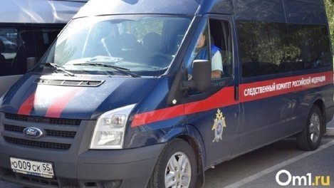 Глава СК Бастрыкин поручил доложить о расследовании двойного убийства в Омской области