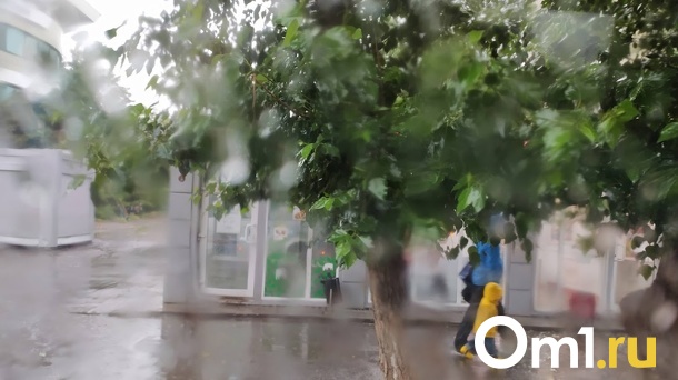 Когда будет в Омске тепло? Синоптики предсказали дату окончание дождя