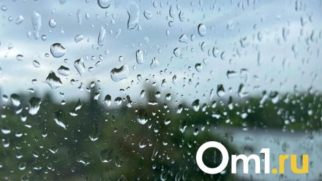 Дожди, грозы и шквалистый ветер до 19 метров в секунду ожидают новосибирцев в середине недели