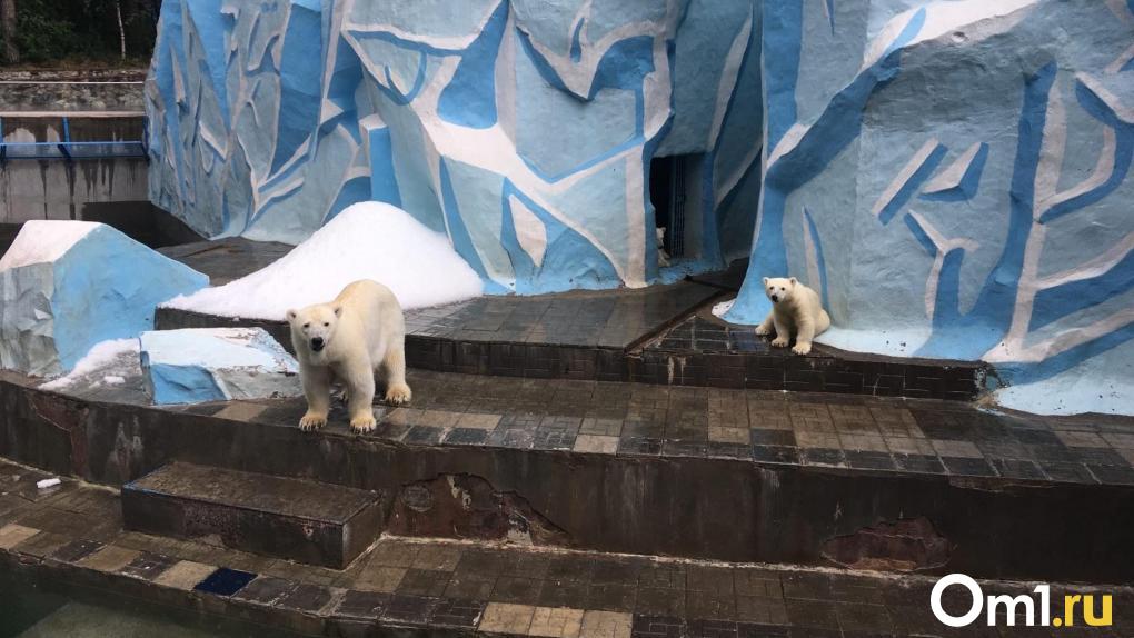 Новосибирский зоопарк перешёл на новый график работы