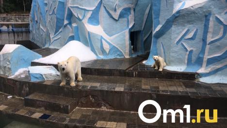 Новосибирский зоопарк перешёл на новый график работы