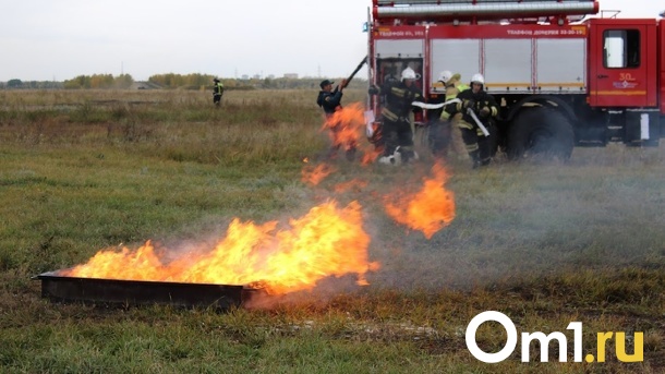 В Омской области с 8 апреля ввели пожароопасный сезон