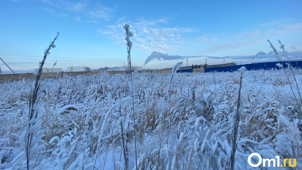 Омск погода сейчас фото