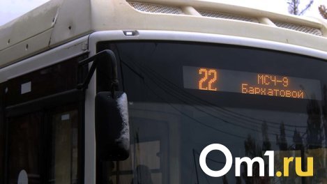 Мэр Шелест и губернатор Хоценко поздравили омских водителей с праздником