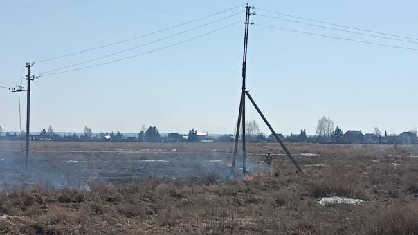 Под Омском загорелись 50 «соток» травы