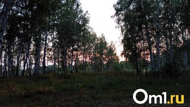 Омичка в лесу обнаружила гриб с пикантной формой