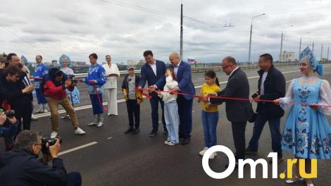 Виталий Хоценко: «Новый мост через Омь будет платный»