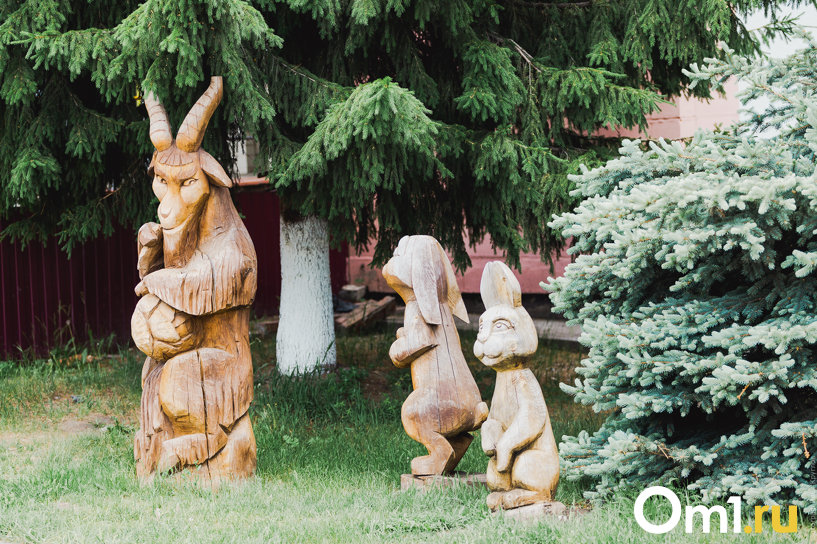 Изображение фоторепортажа