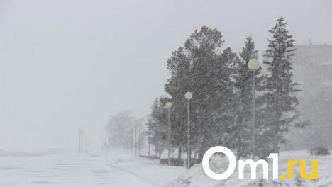 Штормовой ветер обрушил бетонную стену в новосибирском Академгородке