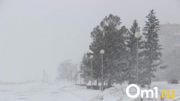 Штормовой ветер обрушил бетонную стену в новосибирском Академгородке