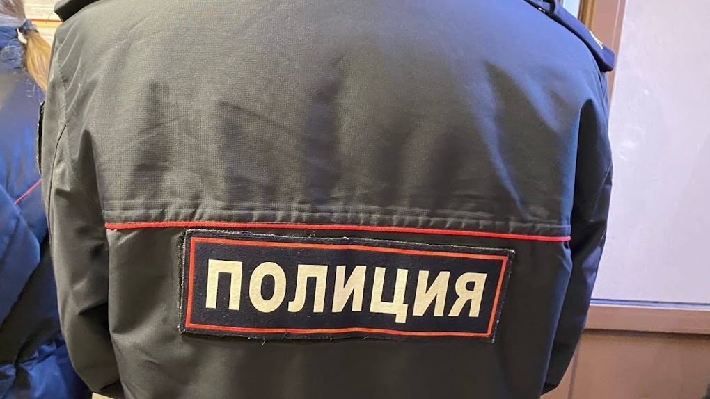 Полиция за неделю задержала 85 участников несогласованных акций в Новосибирске