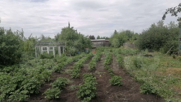 В Омске на продажу выставили дачу по цене среднемесячной зарплаты