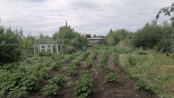 В Омске на продажу выставили дачу по цене среднемесячной зарплаты