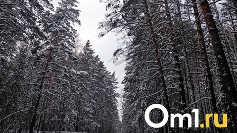 Крепкий мороз: аномальный холод ударит в Новосибирске и Омске на старый Новый год