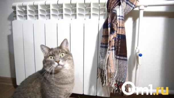 Батареи остыли: Новосибирск официально завершит отопительный сезон