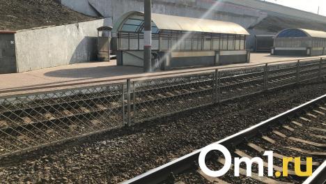 В Новосибирске поезд насмерть сбил 13-летнюю девочку