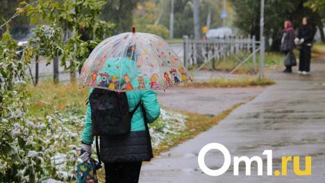 Дождь, снег и гололёд: в Омской области ухудшается погода
