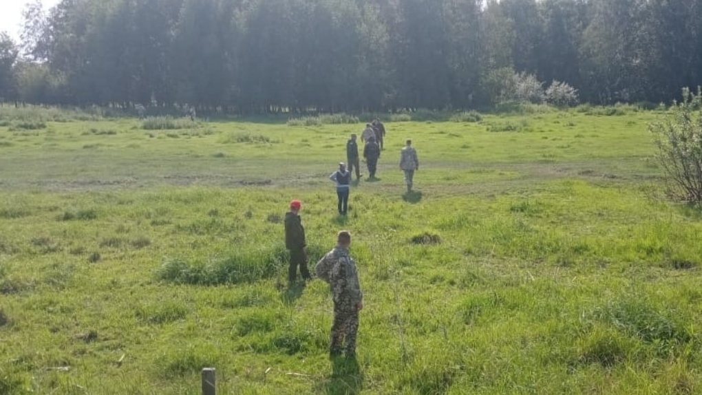 В Омске объявлен масштабный сбор волонтёров для поиска женщины, ушедшей в лес за грибами пять дней назад