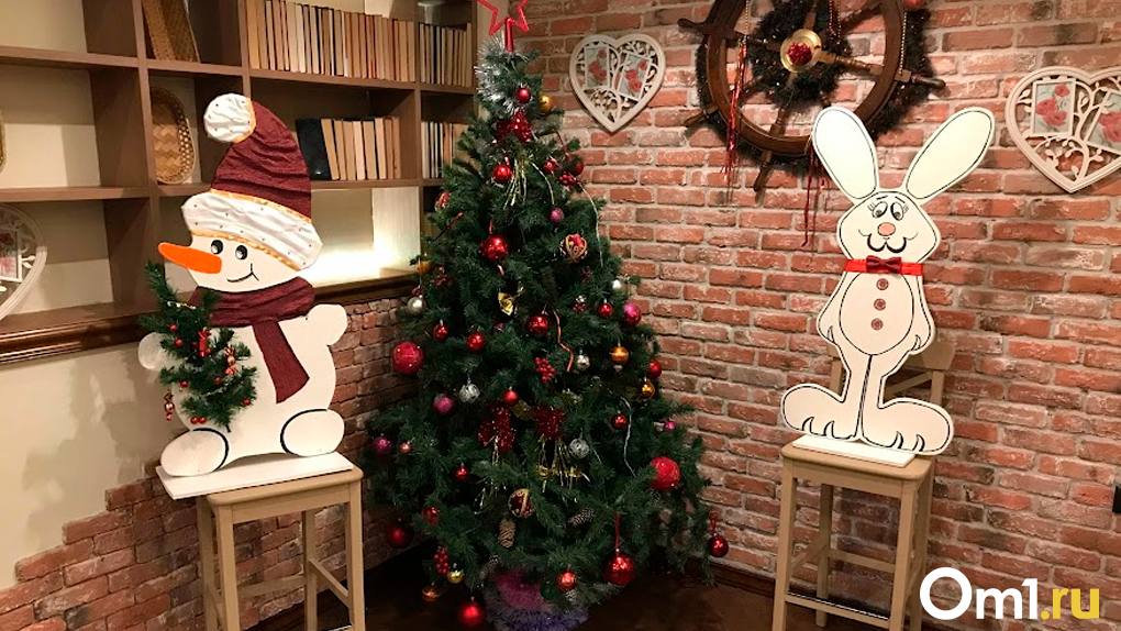 В Новосибирске запустят экологическую акцию по сбору ёлок после новогодних праздников