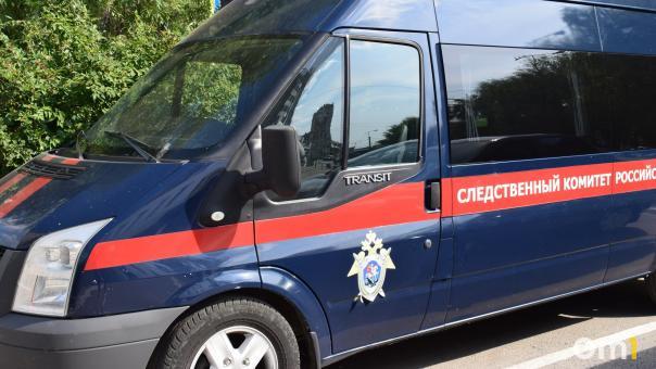 Глава СК Бастрыкин взял на контроль обращение сироты из Новосибирской области, которая 11 лет ждет жилье