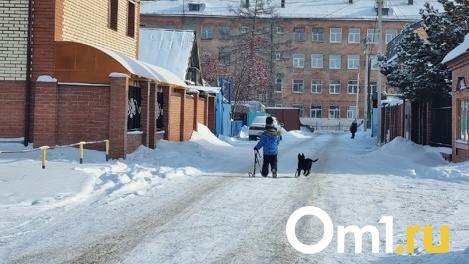 В Омске неизвестный мужчина на глазах у прохожих пытался украсть трёхлетнего ребёнка